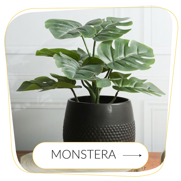 Sztuczna roślina monstera