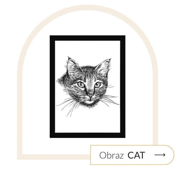 obraz kot